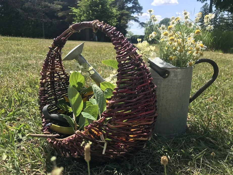 PlantCraft — The Guelph Outdoor School